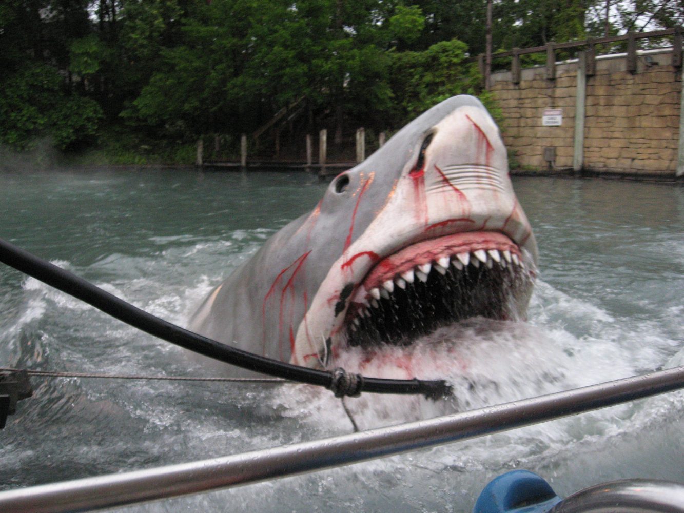 2008 family vacation photo